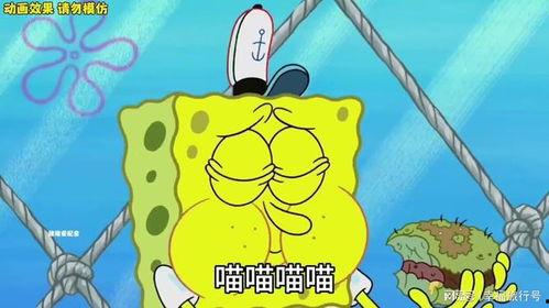 海绵宝宝 最搞笑的