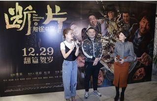 夺宝 演员表,揭秘演员阵容，谁将演绎传奇故事