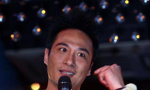 吴镇宇在娱乐圈的地位,华语影坛的硬汉传奇，地位显赫的娱乐界领军人物